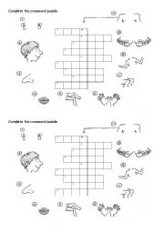 English Worksheet: part of the body crossword