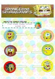 English Worksheet: BOBSPONGE SQUAREPANTS