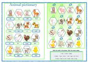 English Worksheet: ANIMALS 