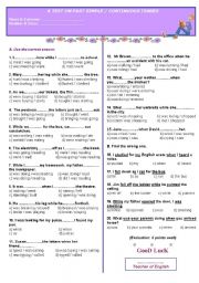 English Worksheet: A TEST ON PAST SIMPLE OR PAST CONTINUOUS
