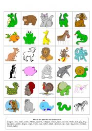 English Worksheet: animals flashcards