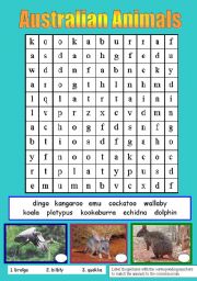 English Worksheet: AUSTRALIAN ANIMALS (PART 1)