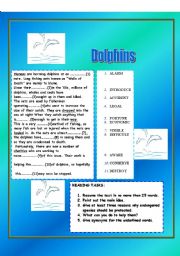English Worksheet: DOLPHINS