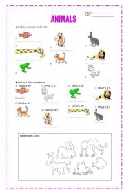 English worksheet: ANIMALS