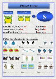 English Worksheet: Plural Form