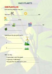 English Worksheet: SCIENCE UNIT 8. 2ND GRADE. PLANTS.