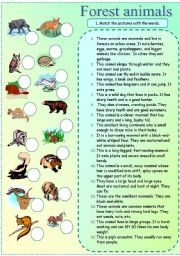 English Worksheet: Forest animals matching exercise