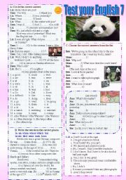 English Worksheet: Test your English 7