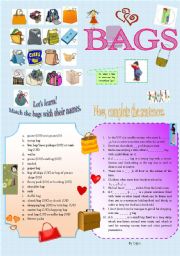 English Worksheet: What kind of bag do you prefer?