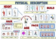 English Worksheet: PHYSICAL DESCRIPTION -  POSTER (VOCABULARY-GUIDE IN A POSTER FORMAT)