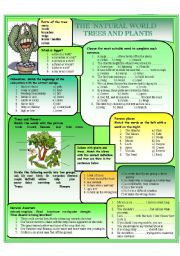 English Worksheet: The natural world - Plants and Trees