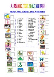 English Worksheet: A READING TEST ABOUT SOME ANIMALS