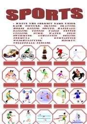 English Worksheet: SPORTS