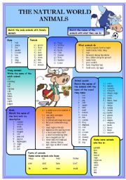 English Worksheet: The natural world - Animals