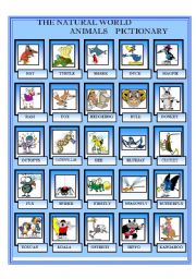 English Worksheet: The natural word - Animals Pictionary