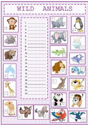 English Worksheet: Wild Animals