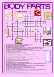 English Worksheet: Crossword body parts