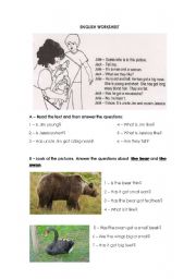 English Worksheet: Test - Describing people and animals