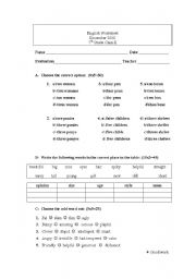 English Worksheet: worksheet on plurals and description