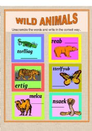 English worksheet: WILD ANIMALS