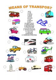 English Worksheet: MEANS OF TRANSPORT