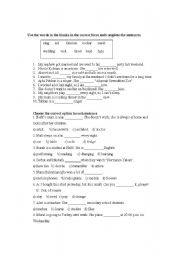 English Worksheet: Vocabulary Exercise