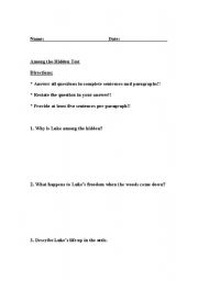 English worksheet: Among the Hidden Test