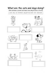 English Worksheet: What are the cats and dogs doing?