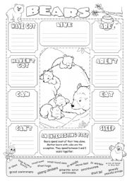 English Worksheet: Describing Bears