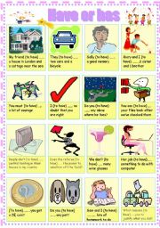 English Worksheet: HAVE /HAS