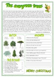 English Worksheet: THE EVERGREEN TREES