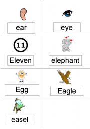English Worksheet: e words