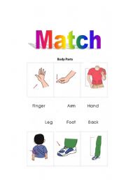 English Worksheet: parts of body