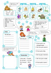 English Worksheet: PETS (have/has got) colour version