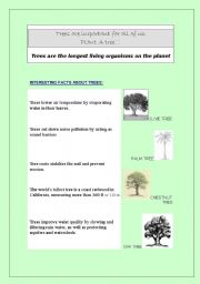 English Worksheet: PLANT A TREE!! INTERESTING FACTS ABOUT TREES + MATCHING + WORDSEARCH