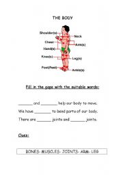 English worksheet: The human body