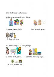English Worksheet: living things