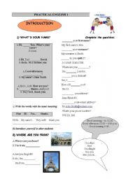 English worksheet: Introduction