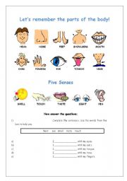 English Worksheet: The five senses