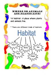 English Worksheet: Habitat 1