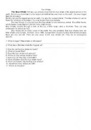 English worksheet: reading text