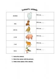 English Worksheet: Domestic Animals