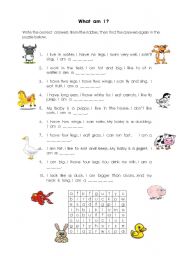 English Worksheet: Animal riddles