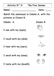 English Worksheet: The Five Senses