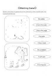 animals worksheet