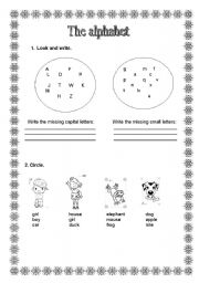 English worksheet: the alphabet