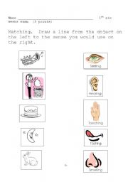 English worksheet: Five Senses