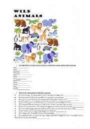 English Worksheet: wild animals