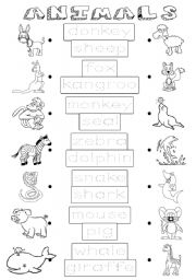 English Worksheet: Animals