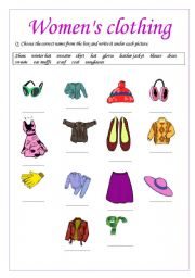 English worksheet: Womens Clothing